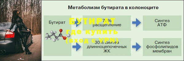 прущие грибы Абинск
