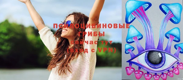 прущие грибы Абинск