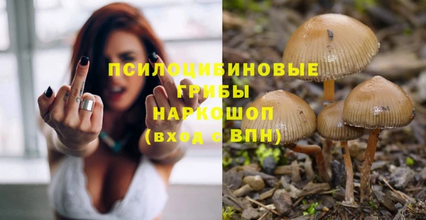 винт Алзамай