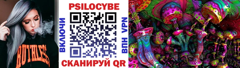 Псилоцибиновые грибы Psilocybine cubensis  Берёзовка 